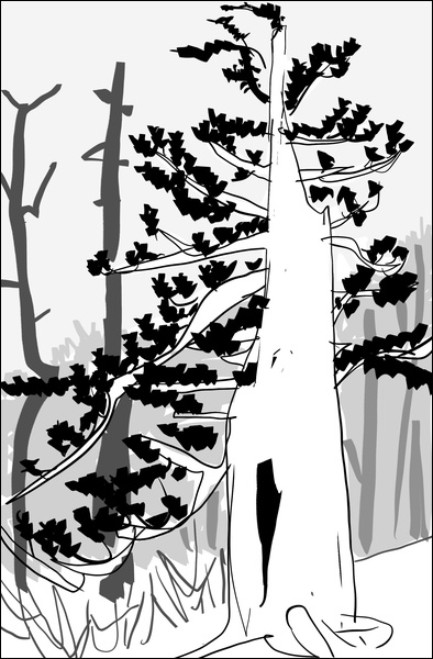 장병언, Digital Drawing, digital_work, 2026